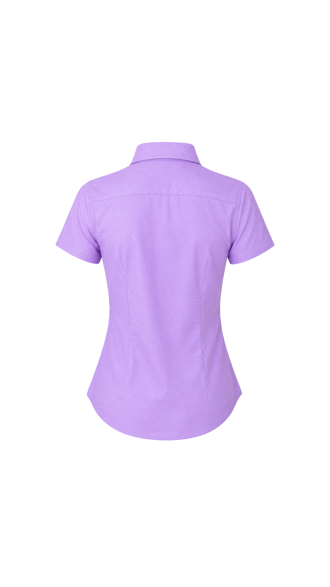 CP-19-113446L Manga corta entallada Morado 9